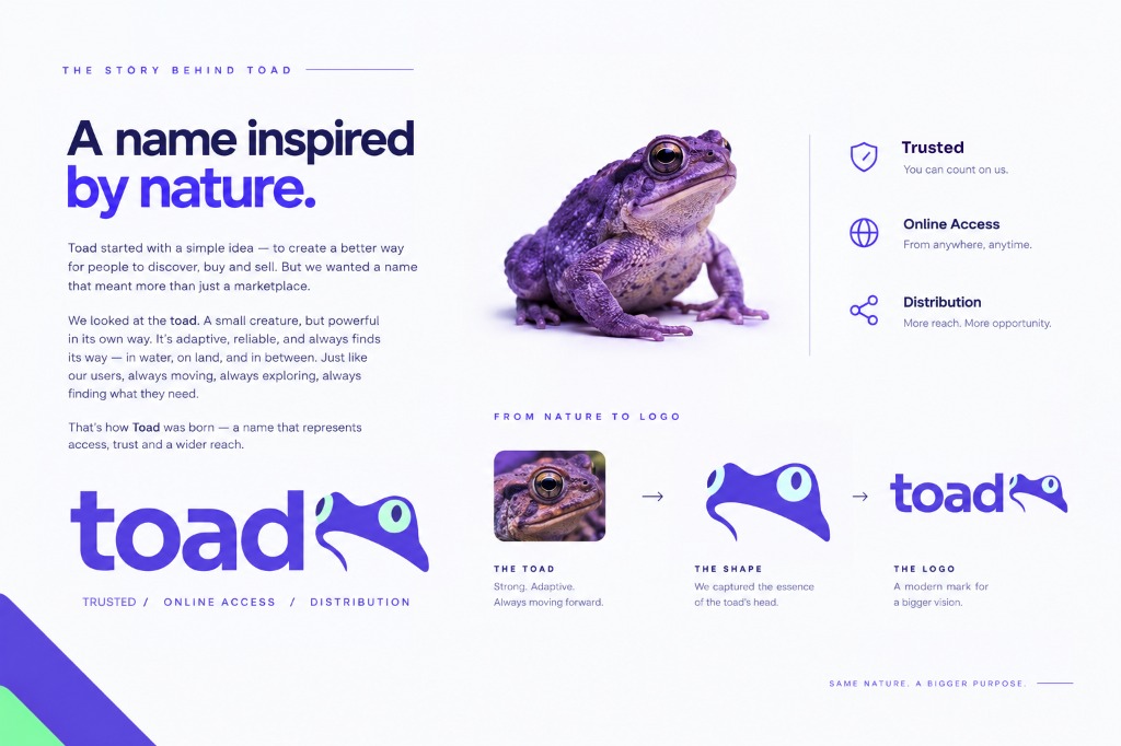 toad Marketplace Brand Concept & Logo Anatomy